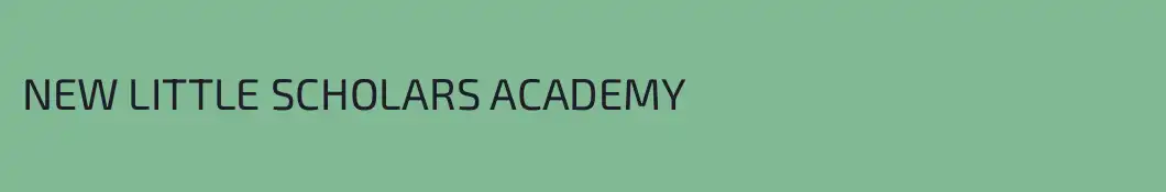 NEW LITTLE SCHOLARS ACADEMY